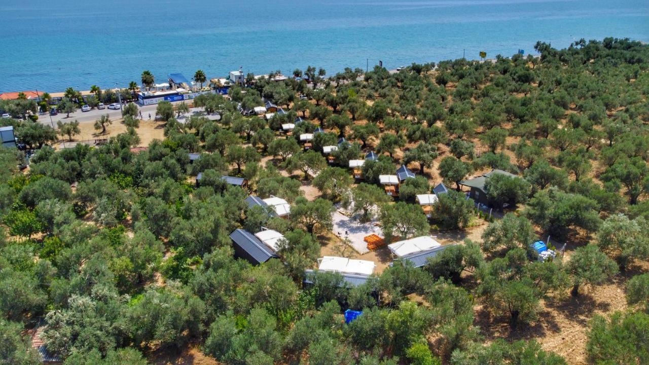 Gulet Tiny House Hotel Ayvacik Екстер'єр фото